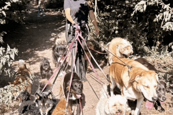 Melanie-met-honden Melanie-met-honden