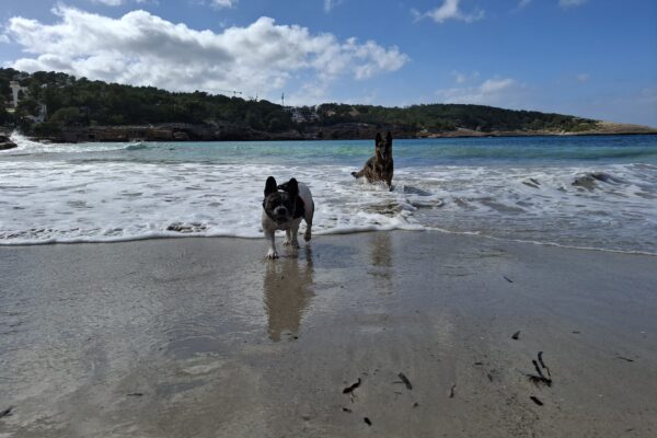 mellysddc-fotos2 mellysddc-fotos2