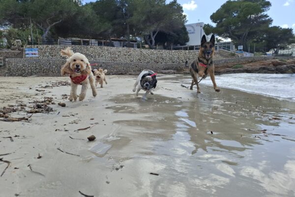 mellysddc-fotos3 mellysddc-fotos3