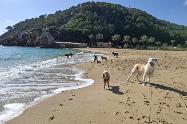 mellysddc-fotos5 mellysddc-fotos5