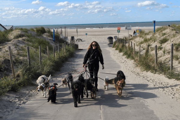 mellysddc-kijkduin mellysddc-kijkduin