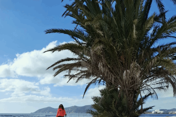 mellysddc2 mellysddc2